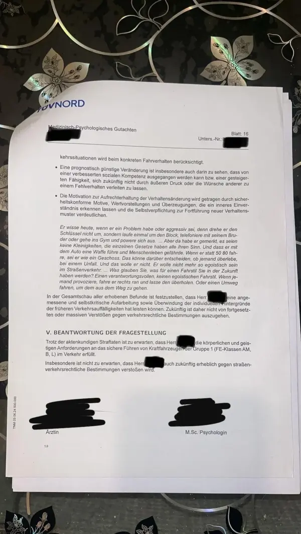 MPU Erfolgsbeleg Anna L.